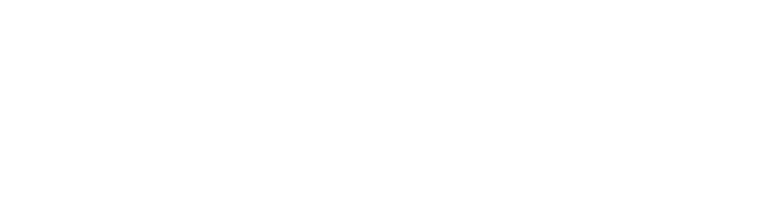 DragonZap