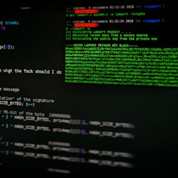 Understanding argc and argv in C Programming: A Comprehensive Guide