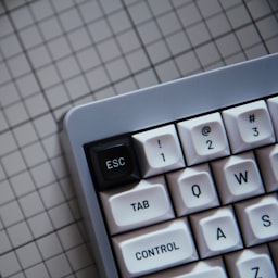 C++ Program to Implement Linear Search