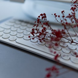 Java Program to Implement Selection Sort