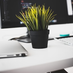 Understanding argc and argv in C Programming: A Comprehensive Guide